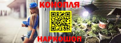 гидра Бийск
