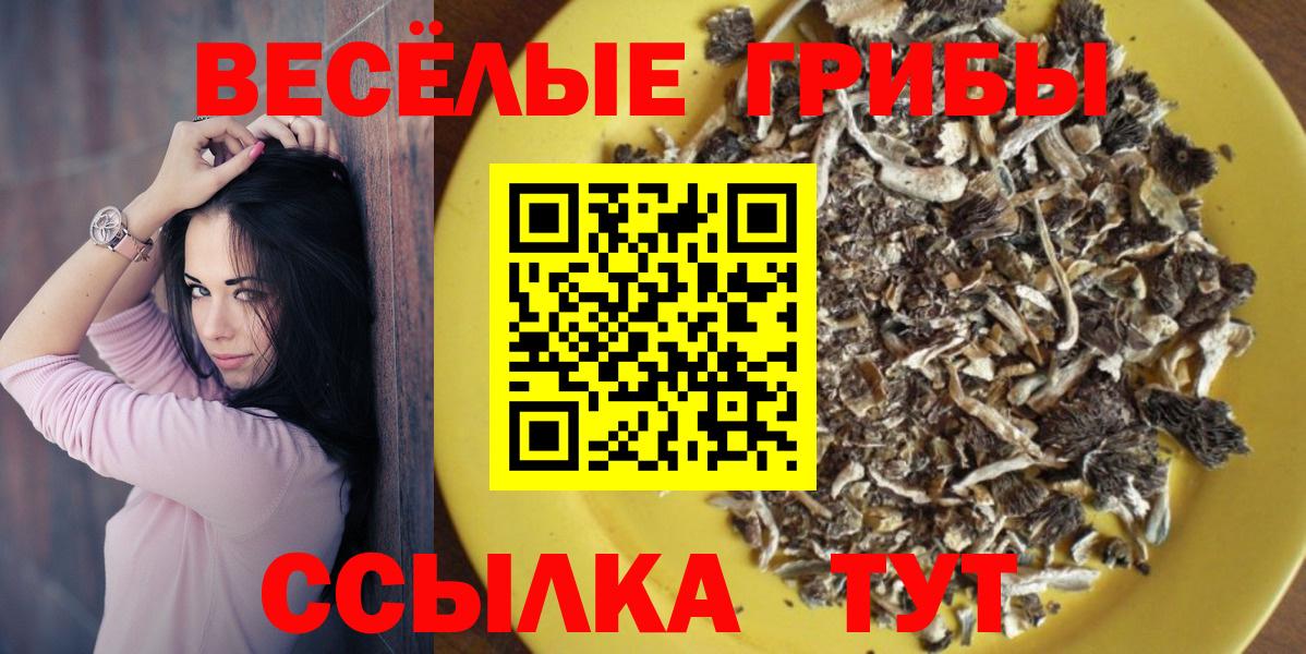 Галлюциногенные грибы прущие грибы  Вход с VPN  дарнет шоп  Кашира 
